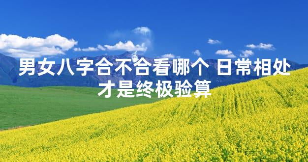 男女八字合不合看哪个 日常相处才是终极验算